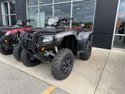 2026 Honda FourTrax Foreman Rubicon 4x4 Automatic DCT EPS Deluxe